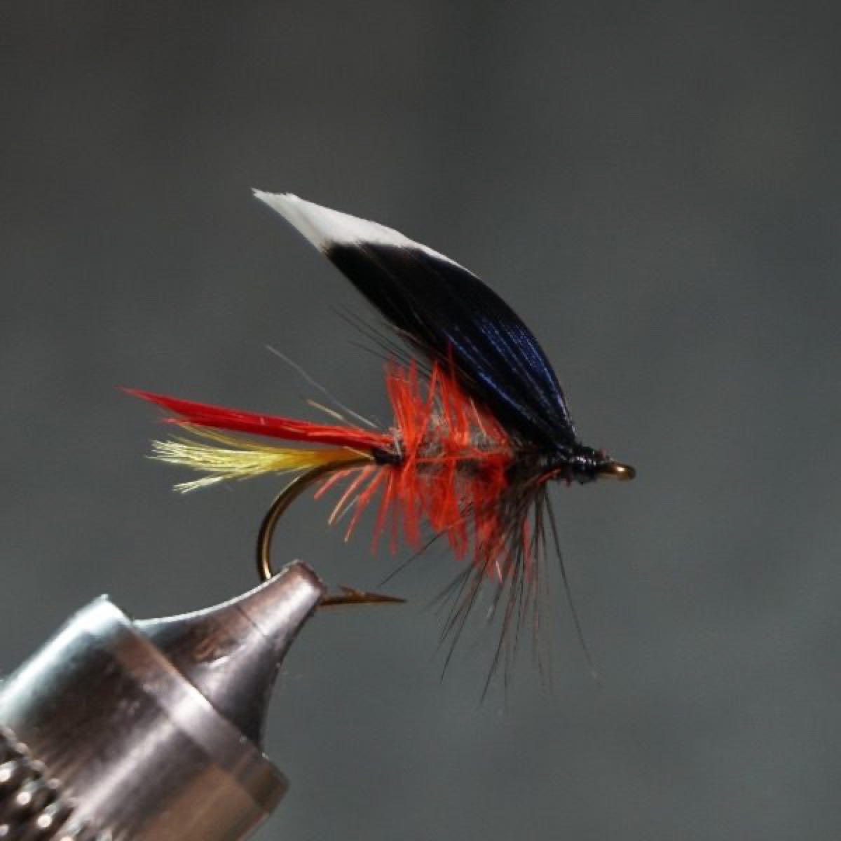 Carmen fly pattern tied by Christian Andrews