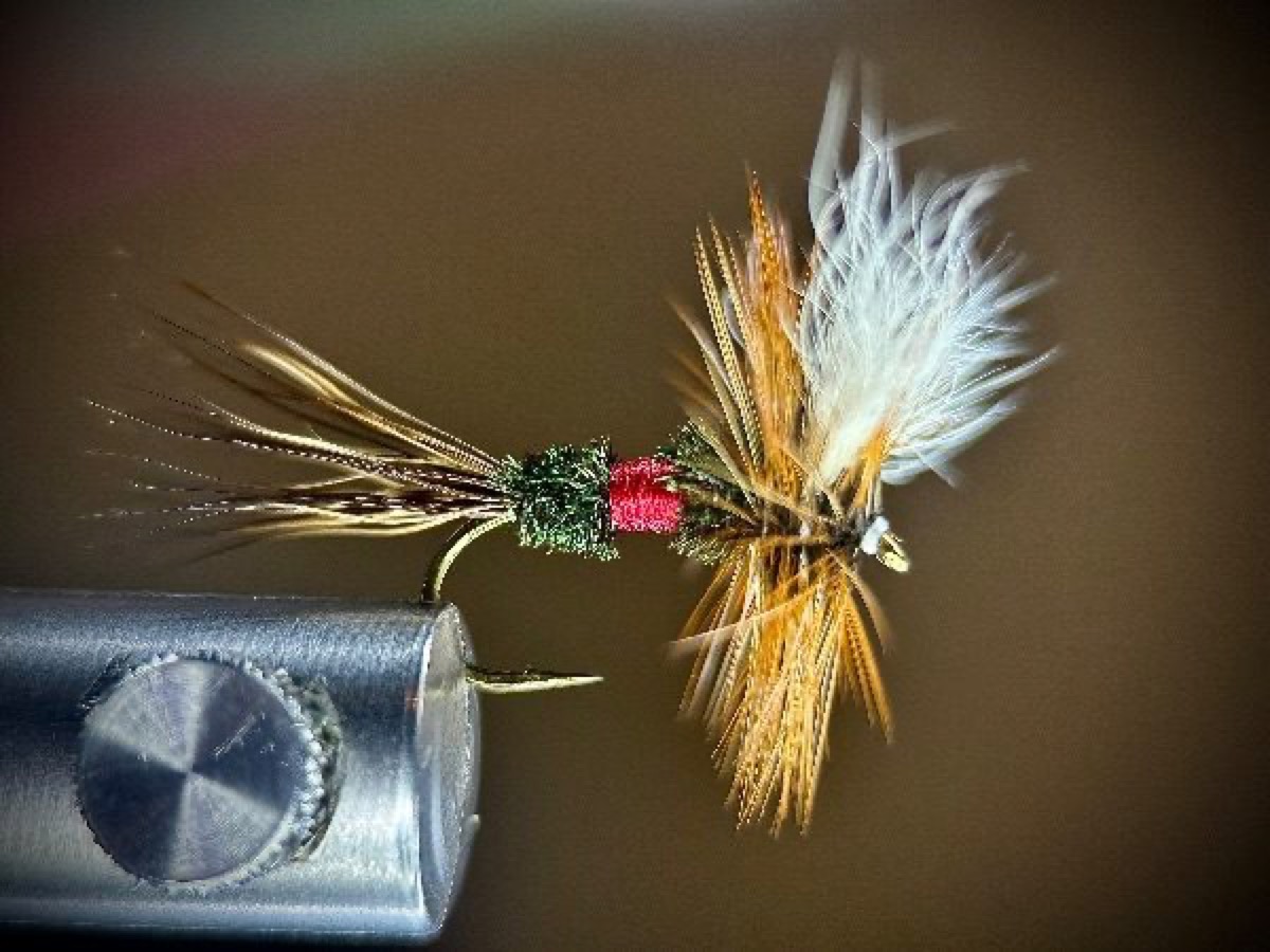 Royal Wulff fly pattern tied by Ryan Storch