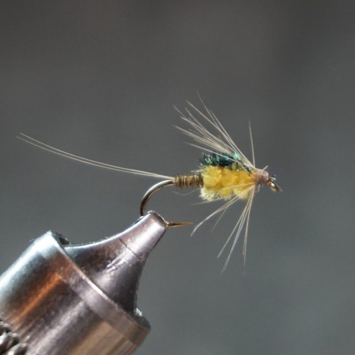 Ginger Quill Nymph fly pattern tied by Christian Andrews