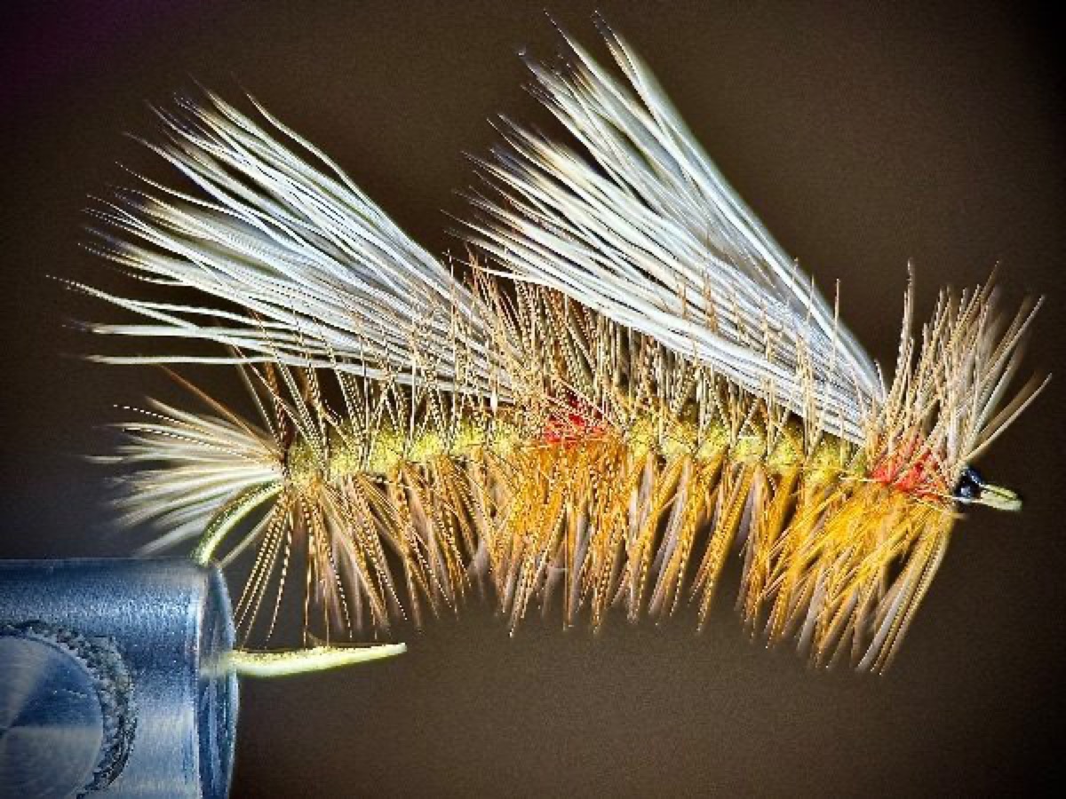 Double Stimulator fly pattern tied by Ryan Storch