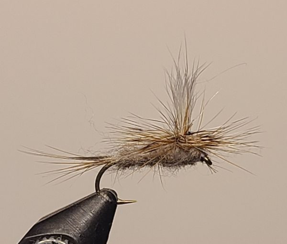 Parachute Adams fly pattern tied by David Matthews
