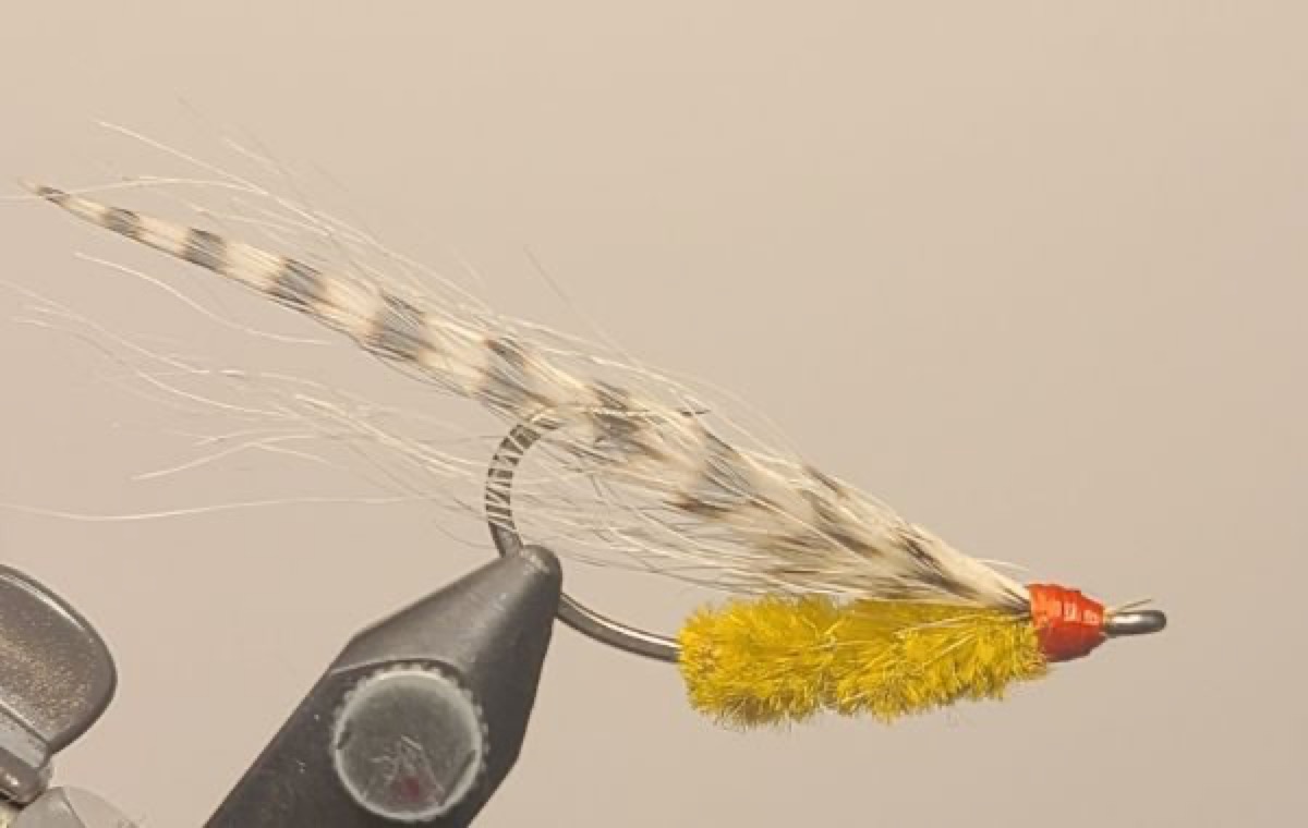 Frankee-Belle Bonefish Fly crica 1945 fly pattern tied by David Matthews