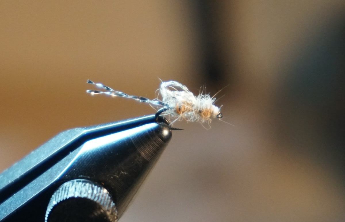 Sparkle Wing RS2 fly pattern tied by Christian Andrews