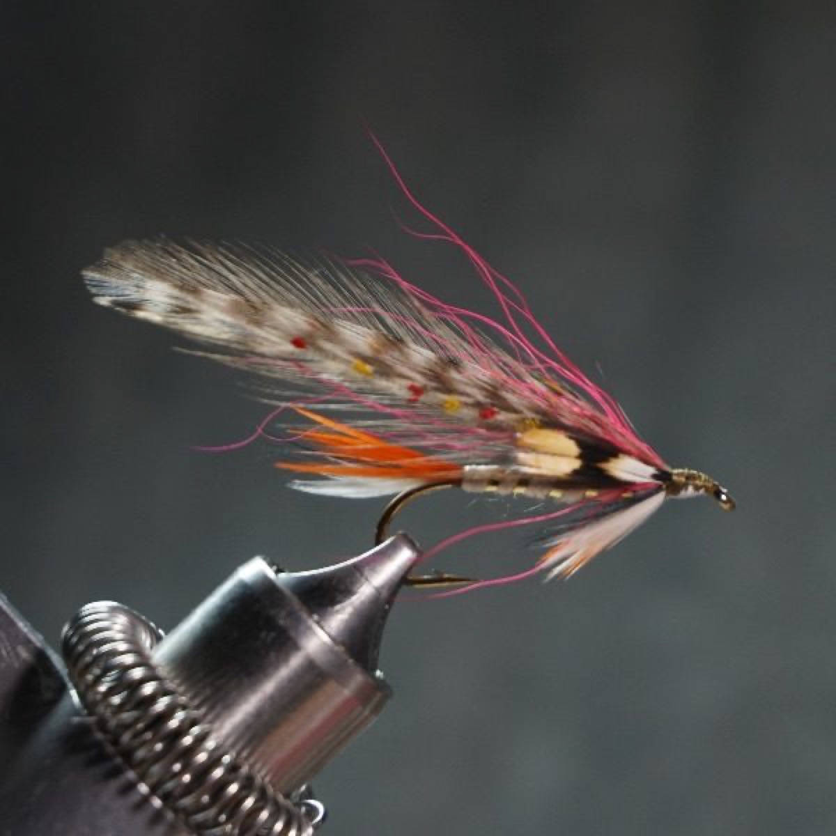 Brook Trout fly pattern tied by Christian Andrews