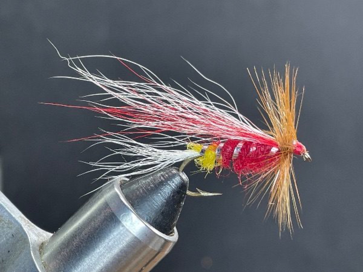 Umpqua Special (seal variant) fly pattern tied by Brent Jones