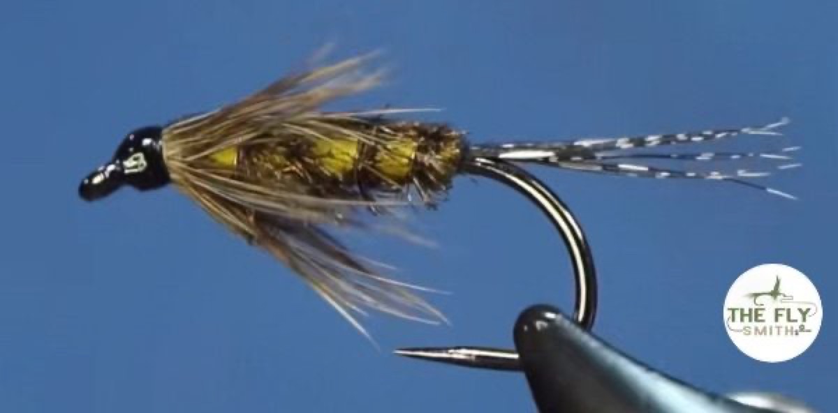 Tellico Nymph fly pattern tied by Brian Smith