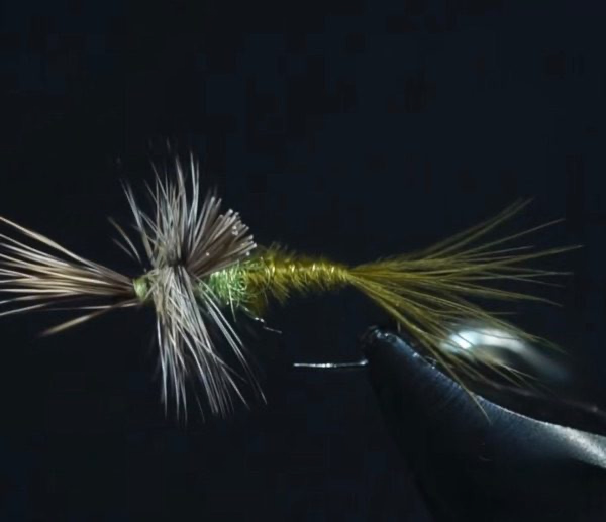 Quigleys Cripple fly pattern tied by Brian Smith