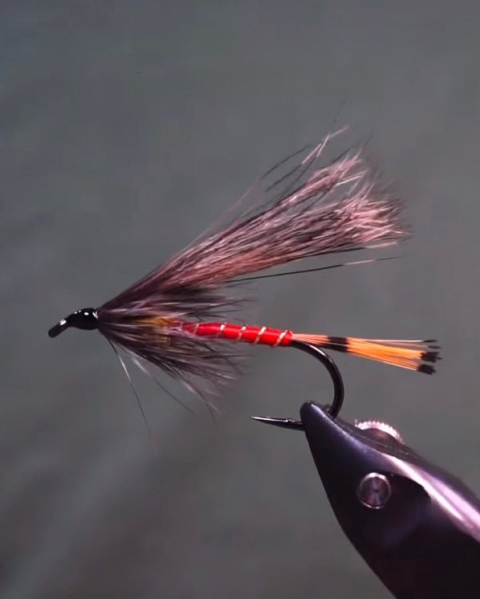 Mormon Girl fly pattern tied by Brian Smith