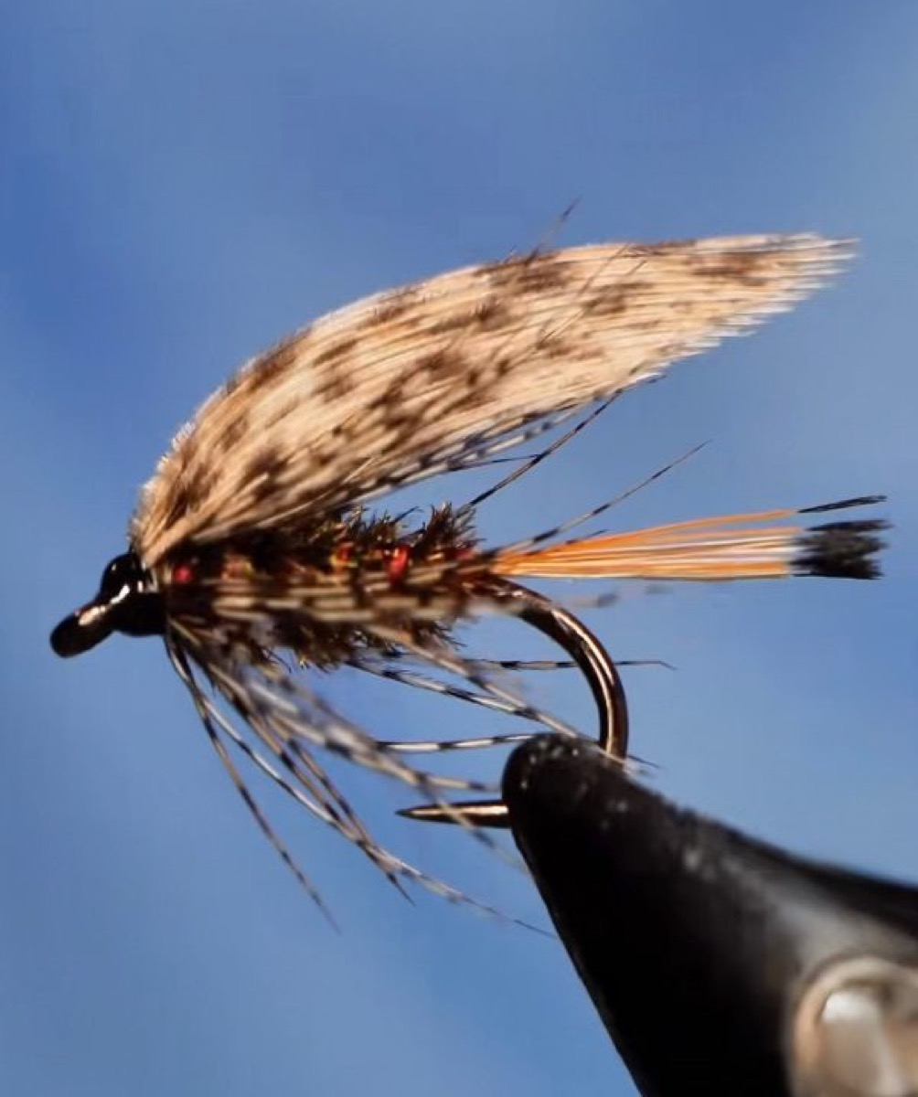 Hardys Favorite fly pattern tied by Brian Smith