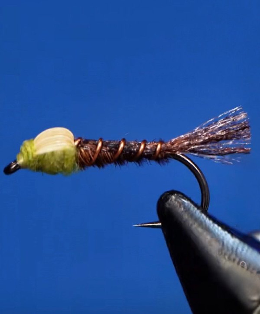 Lawson Half back Emerger fly pattern tied by Brian Smith
