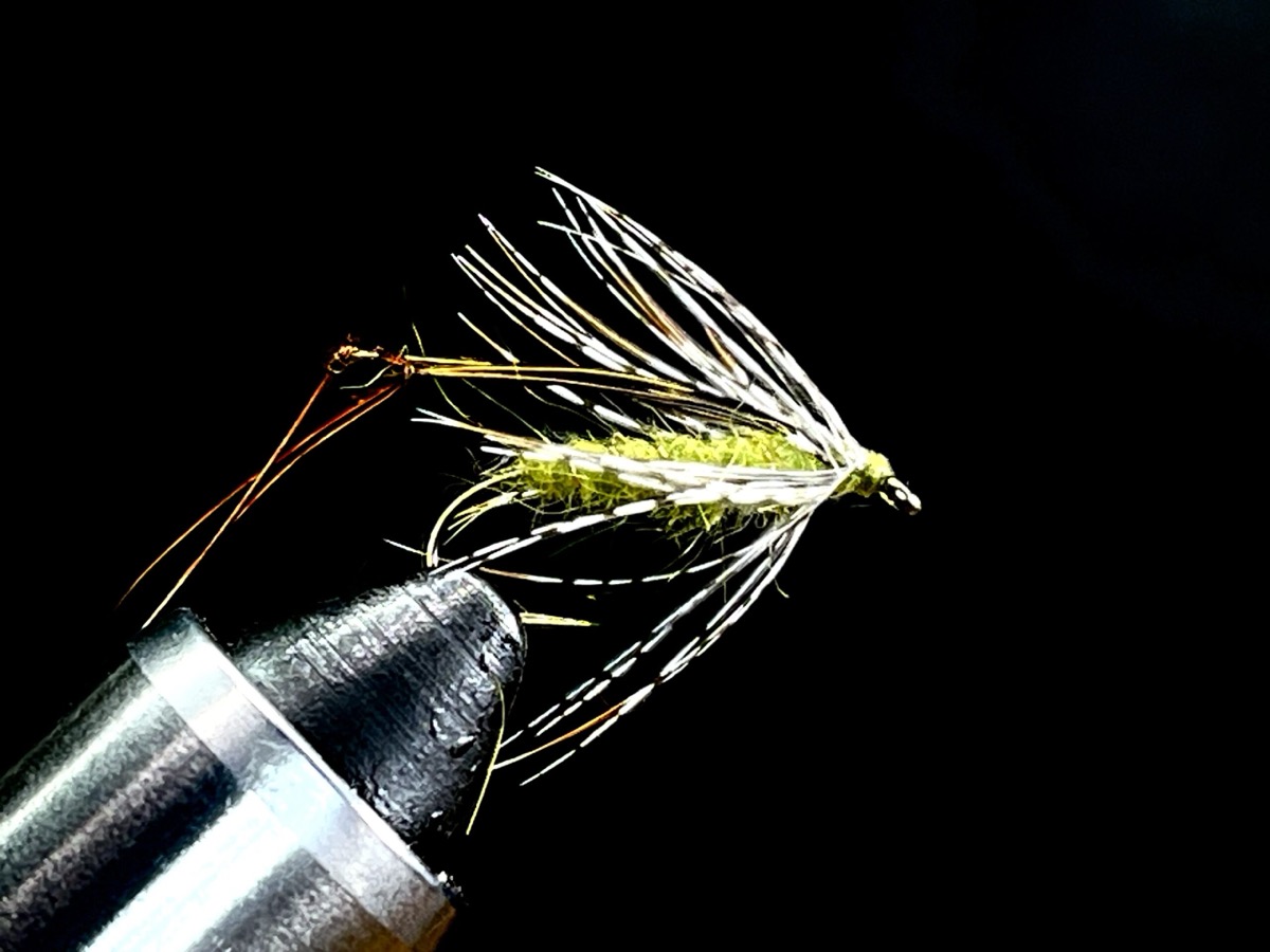 Legs Eleven (lt olive) fly pattern tied by Brent Jones