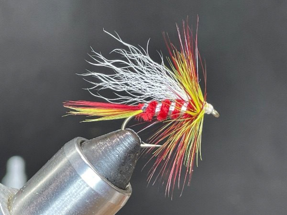 Skyomish Sunrise fly pattern tied by Brent Jones
