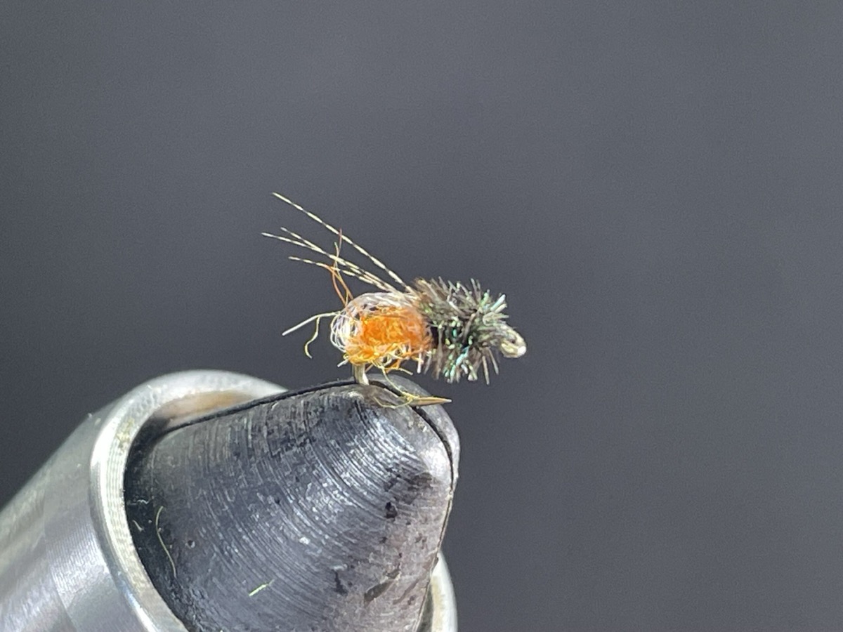 Missouri River Caddis fly pattern tied by Brent Jones