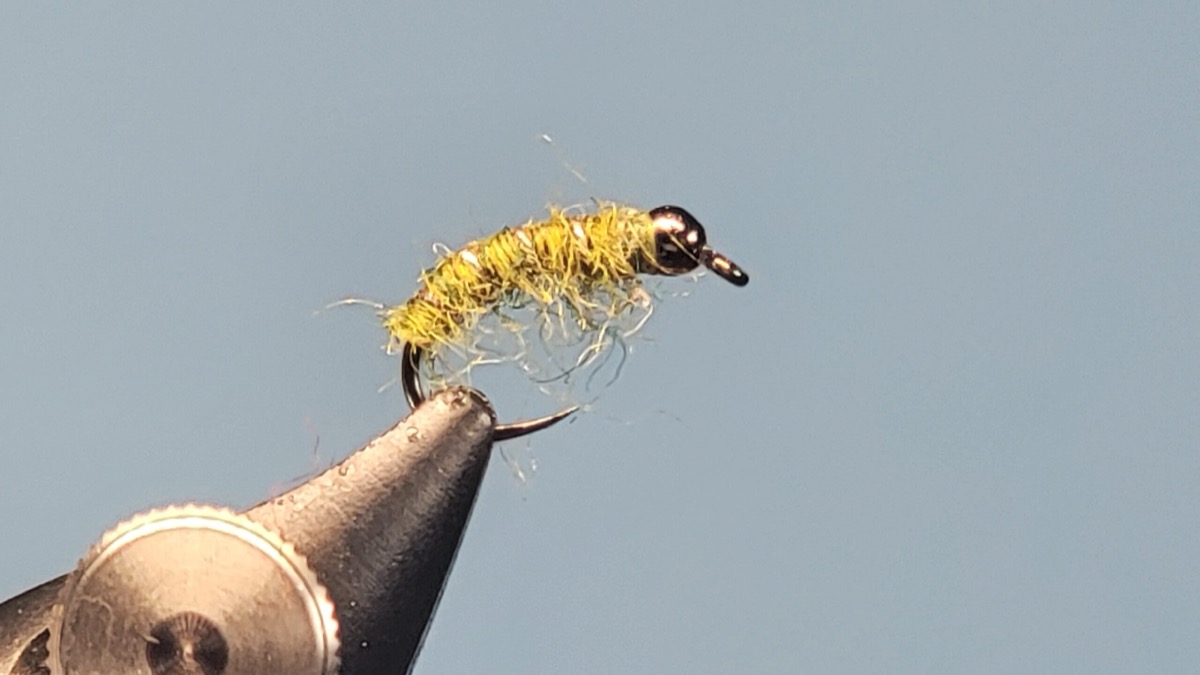 Gray Caddis Pupa fly pattern tied by Darrell Olson