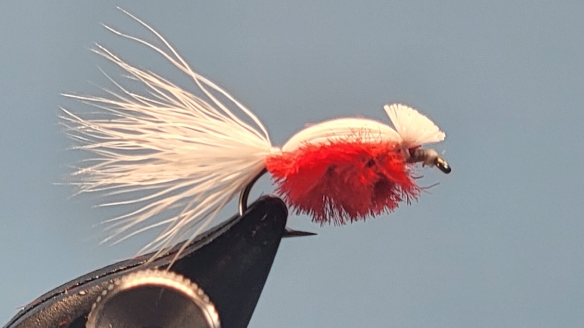 The Devil Bug fly pattern tied by Darrell Olson