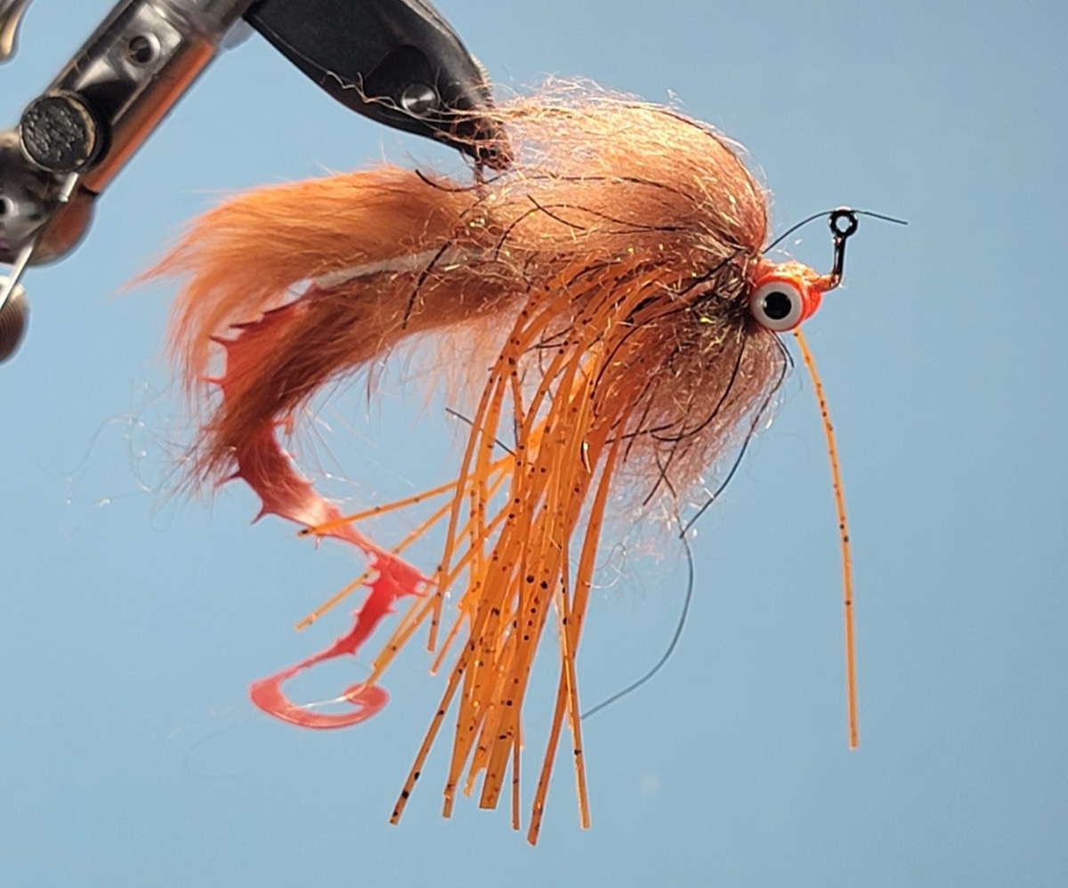 Jonathan Kiley’s Shag Worm fly pattern tied by Darrell Olson