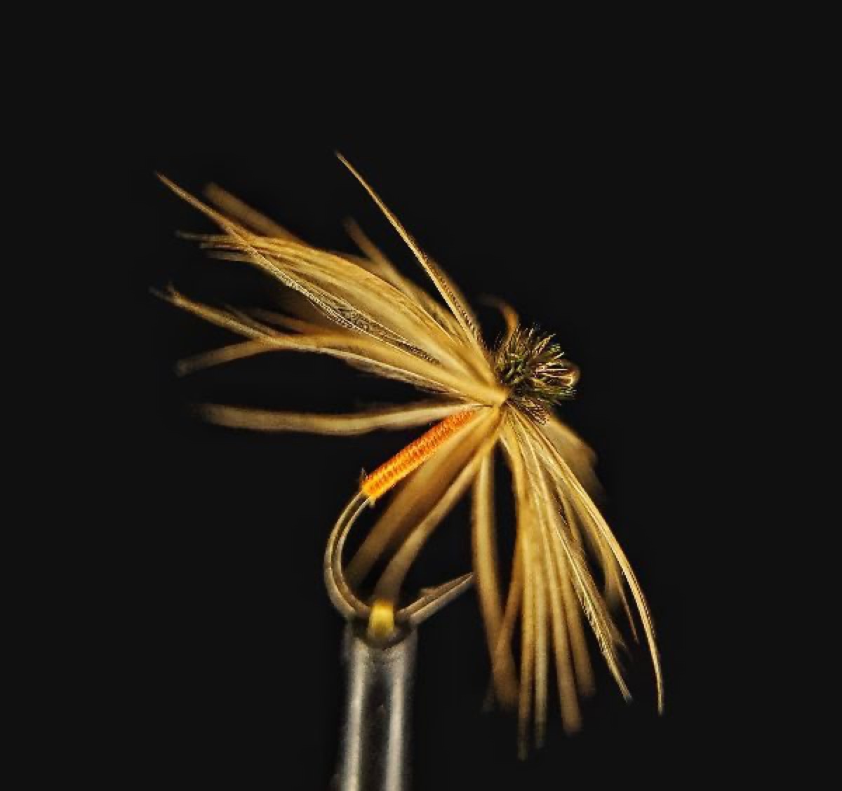 Pritts Brown Owl (Original Dressing) fly pattern tied by Jonathan Antunez