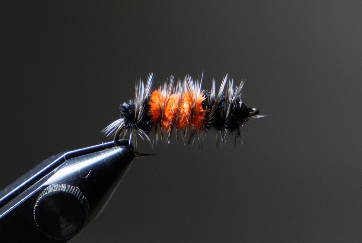 Woolly Bear Caterpillar fly pattern tied by Christian Andrews