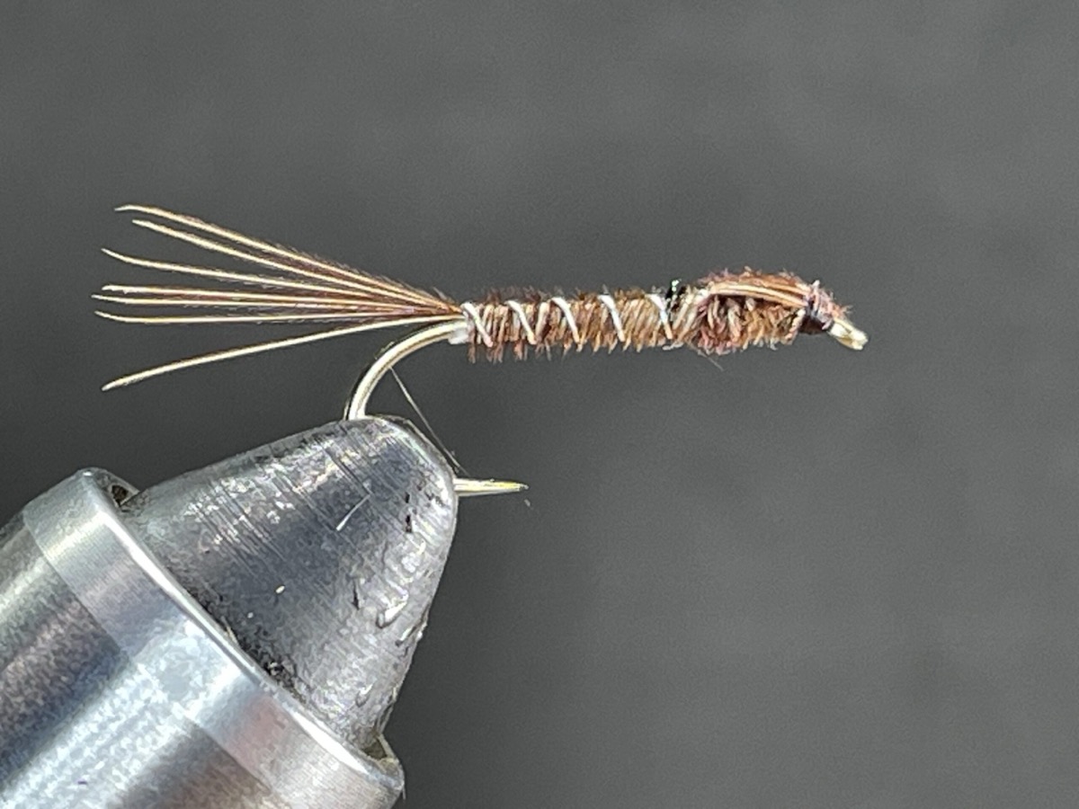 Flashback English Pheasant Tail Nymph ( PTN ) fly pattern tied by Brent Jones