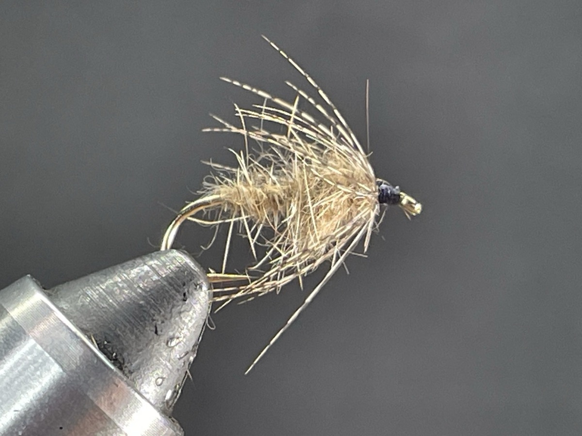 Hares ear soft hackle fly pattern tied by Brent Jones