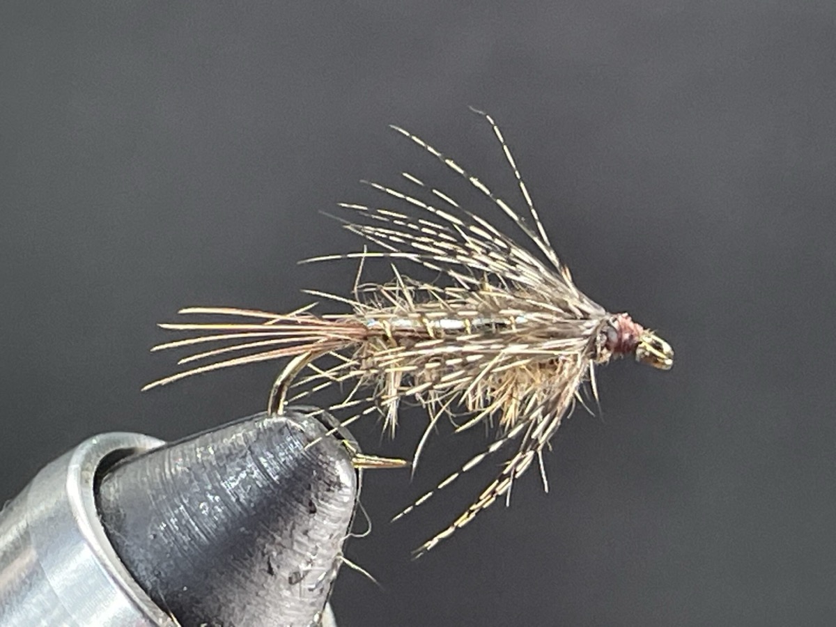 Flash back hares ear soft hackle fly pattern tied by Brent Jones
