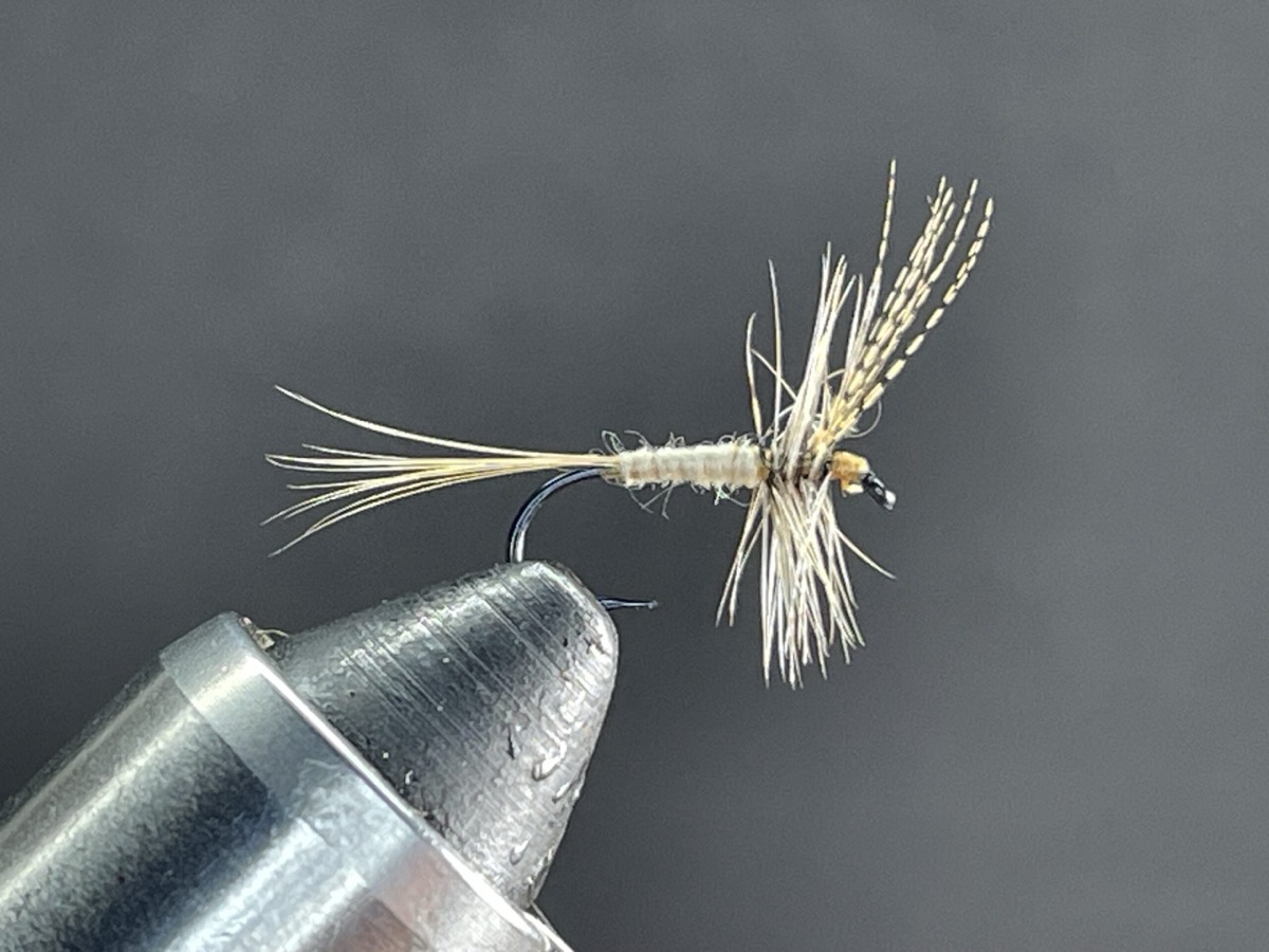 Light Cahill variant fly pattern tied by Brent Jones