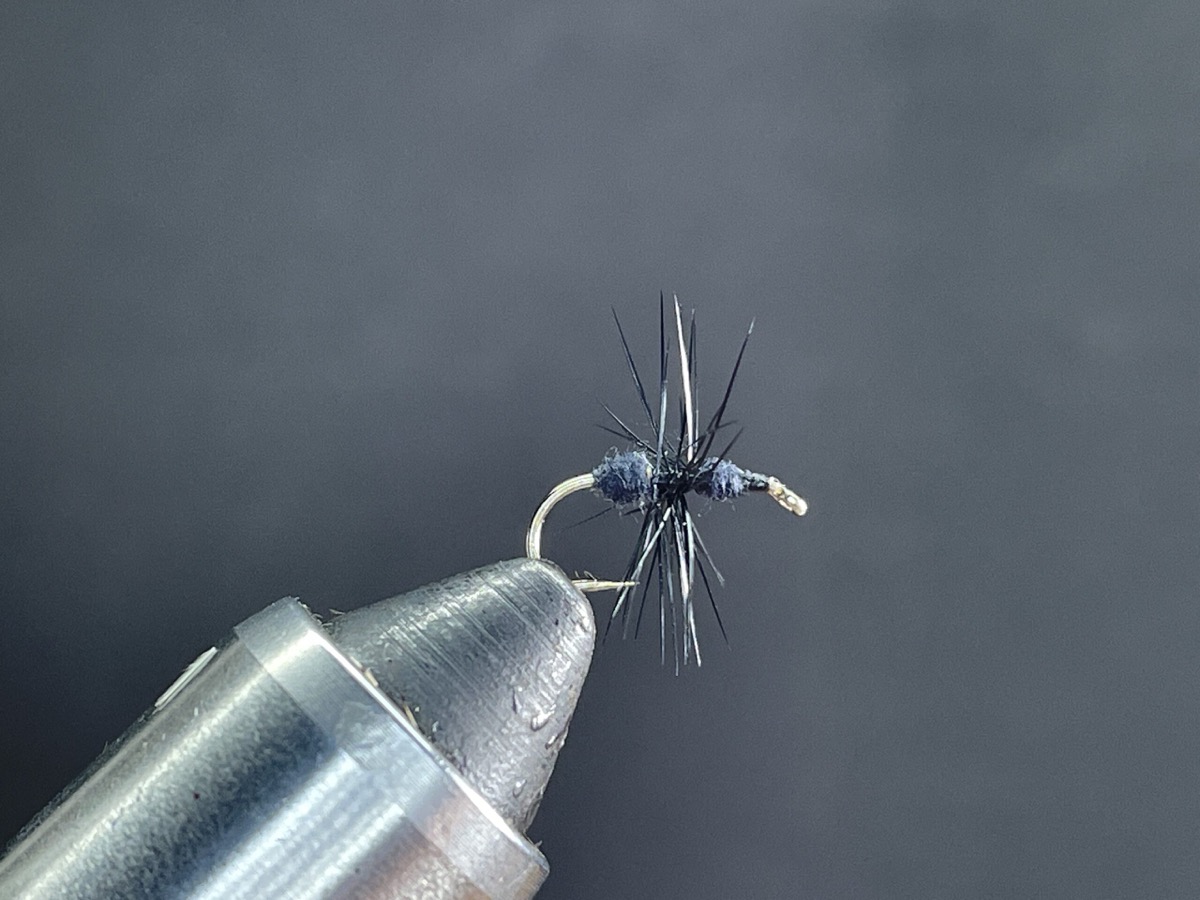 Dubbed Black Ant fly pattern tied by Brent Jones