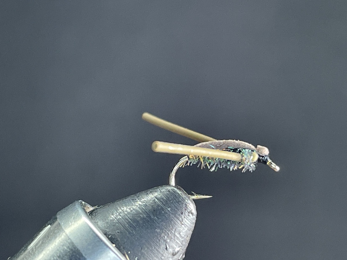 Foam Water Boatman fly pattern tied by Brent Jones