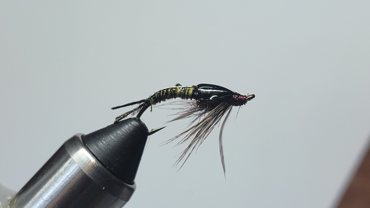 Isonychia Nymph (Swimming Nymph) fly pattern tied by Darrell Olson