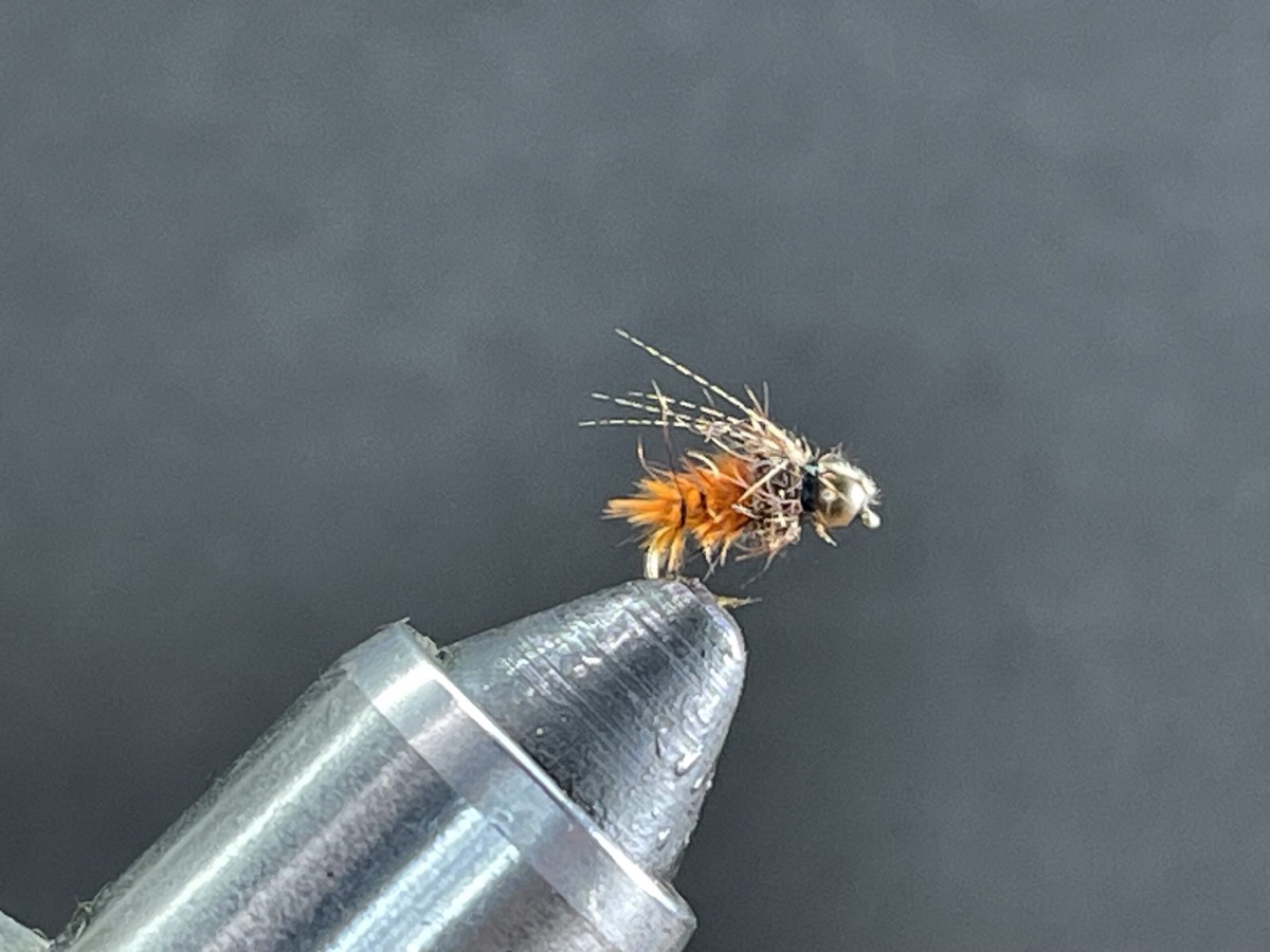 2 cent October caddis flashback fly pattern tied by Brent Jones