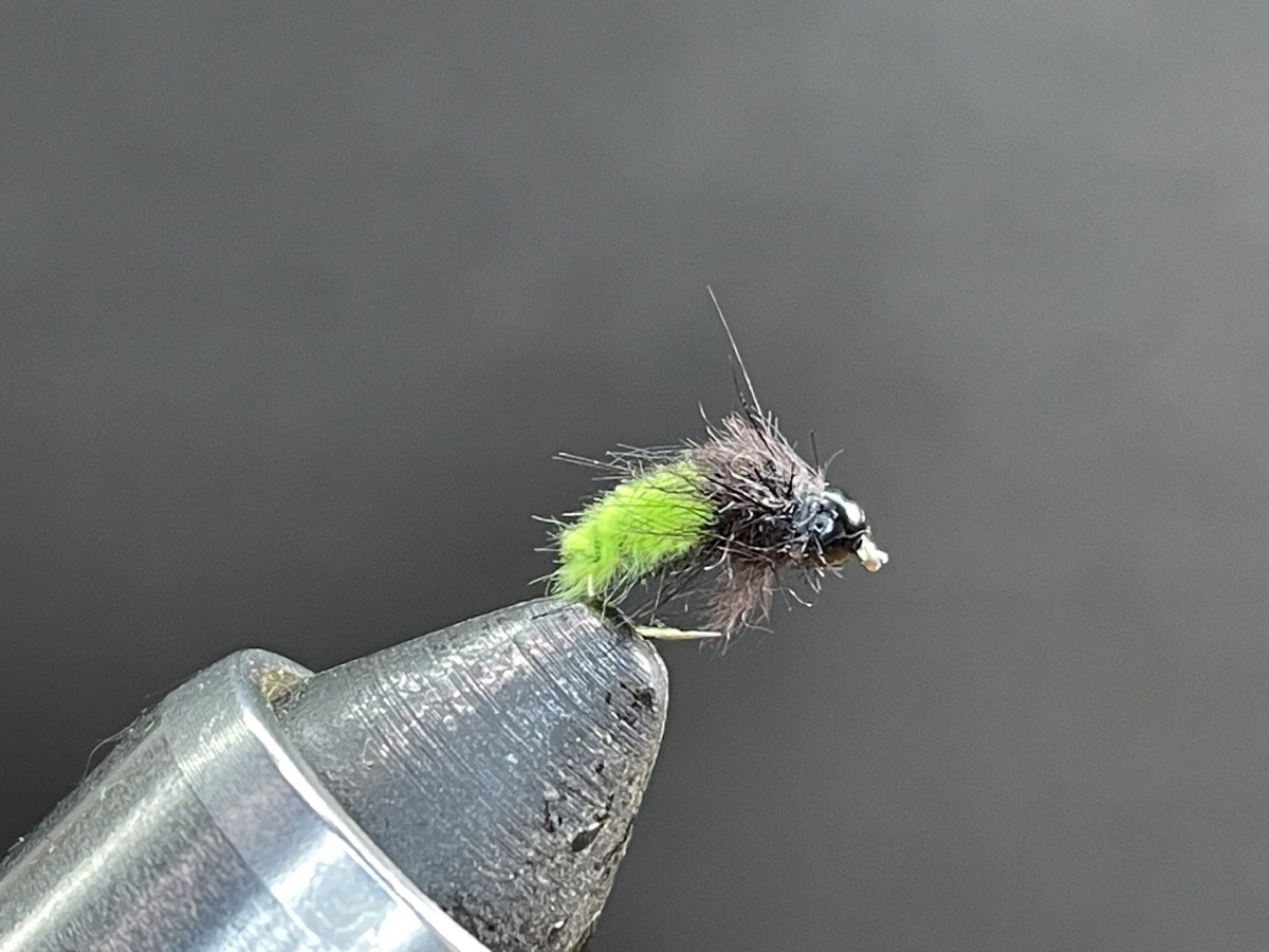 2 cent caddis fly pattern tied by Brent Jones