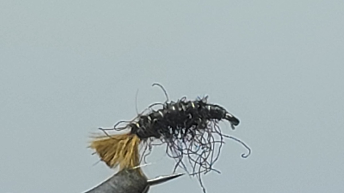 Hydropsyche Caddis Larva fly pattern tied by Darrell Olson