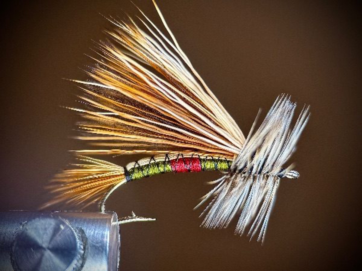 Royal-ish Stimulator fly pattern tied by Ryan Storch