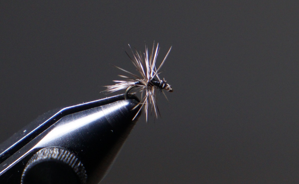 Cecil's micro gnat fly pattern tied by Christian Andrews