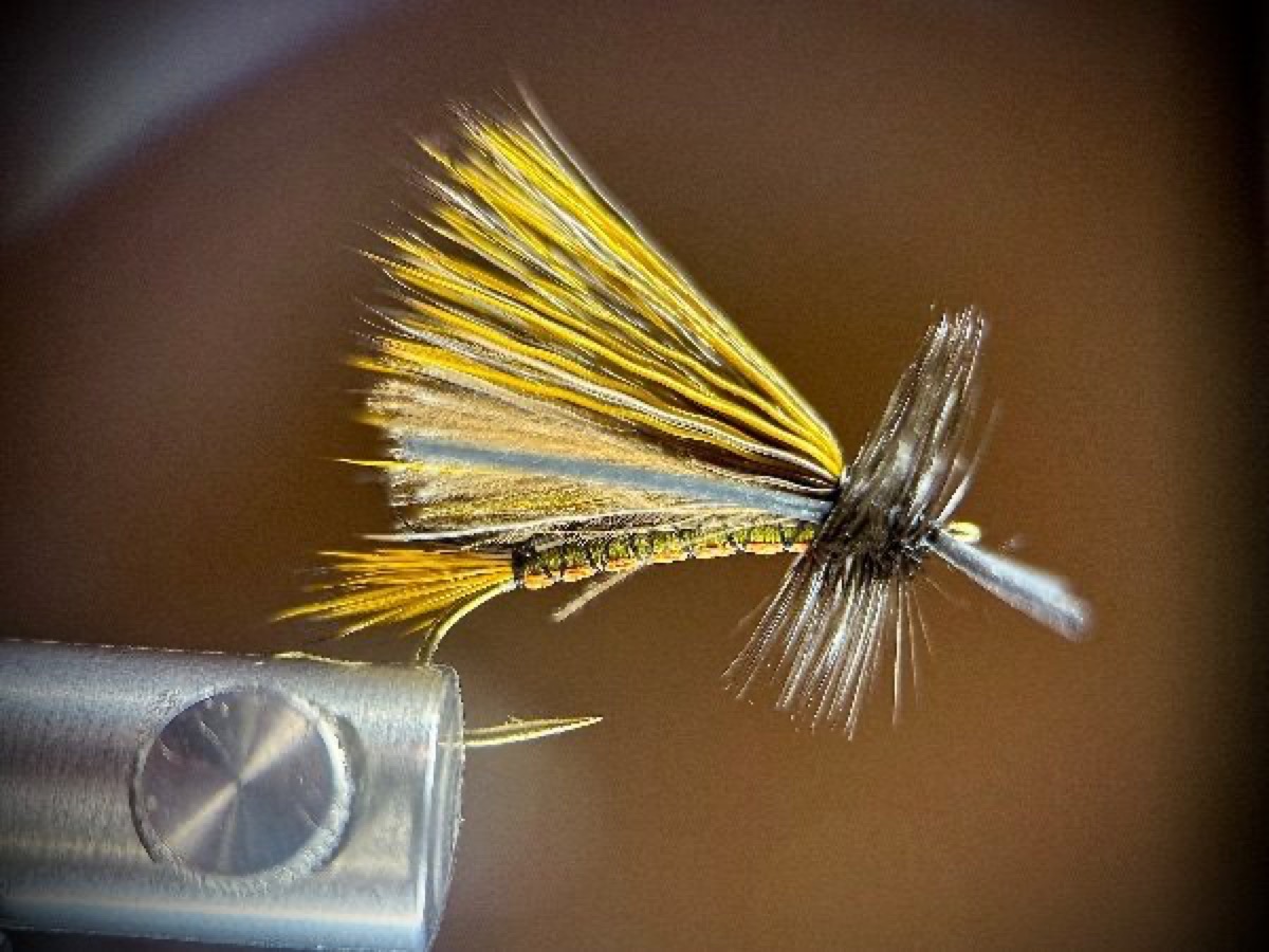 Skwala Stone Stimulator fly pattern tied by Ryan Storch