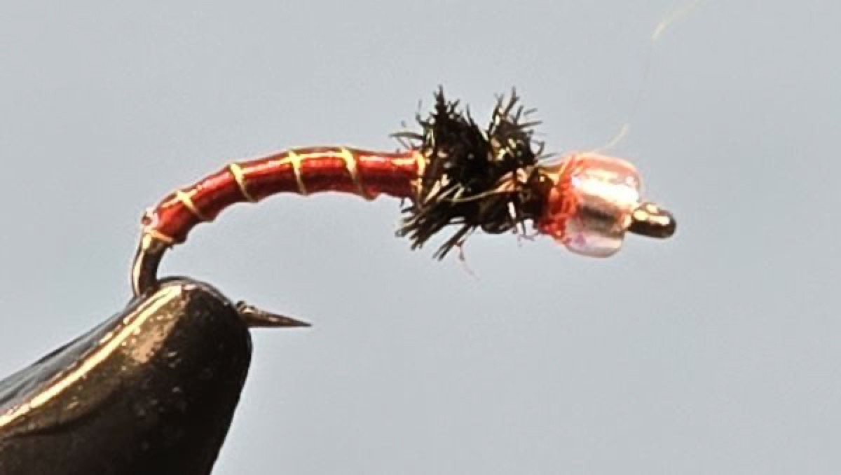 Blood Midge fly pattern tied by Darrell Olson