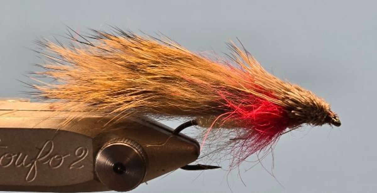 Chuck Stranahan’s Brown Sculpin fly pattern tied by Darrell Olson