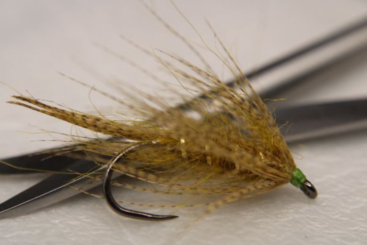 Wood Duck Cary Special fly pattern tied by Rick Passek