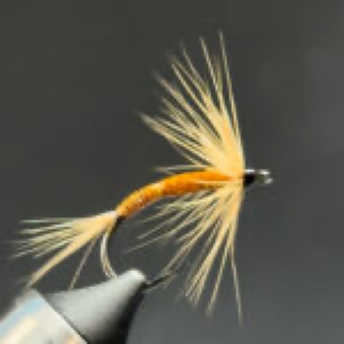 The Foam Quillington fly pattern tied by Brian Smith