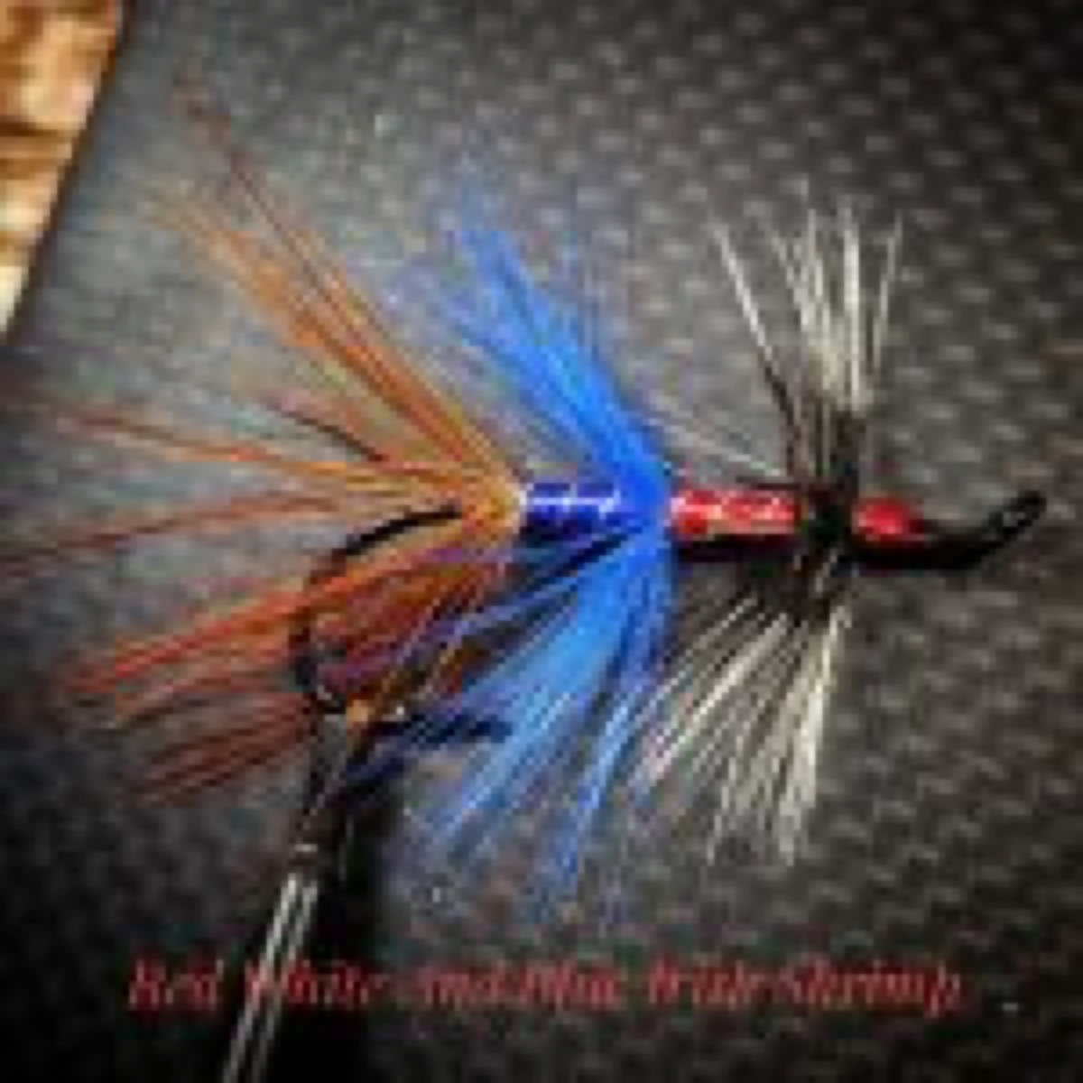 Red White And Blue Irish Shrimp fly pattern tied by Will Arrant