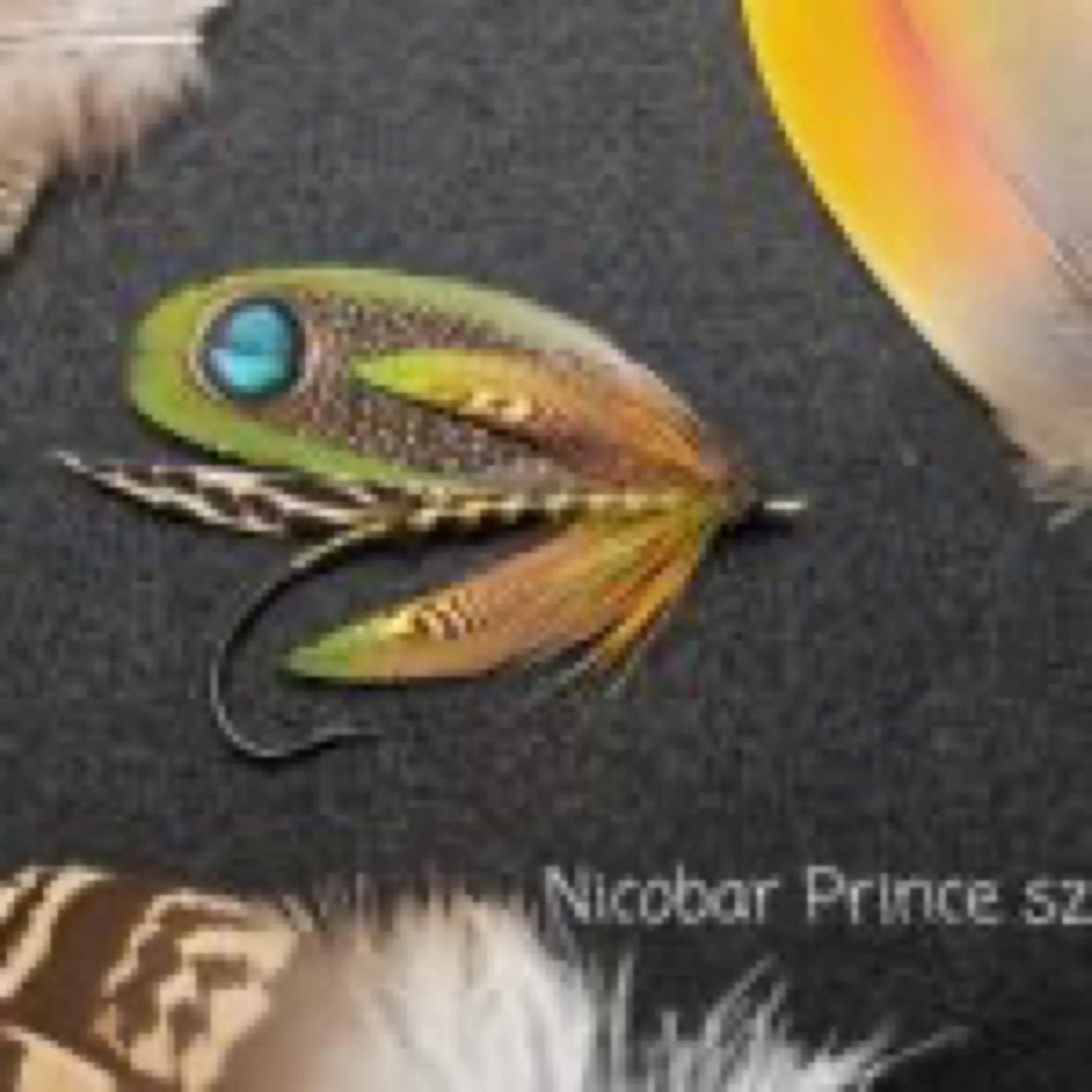 Nicobar Prince fly pattern tied by Rich LaMonte