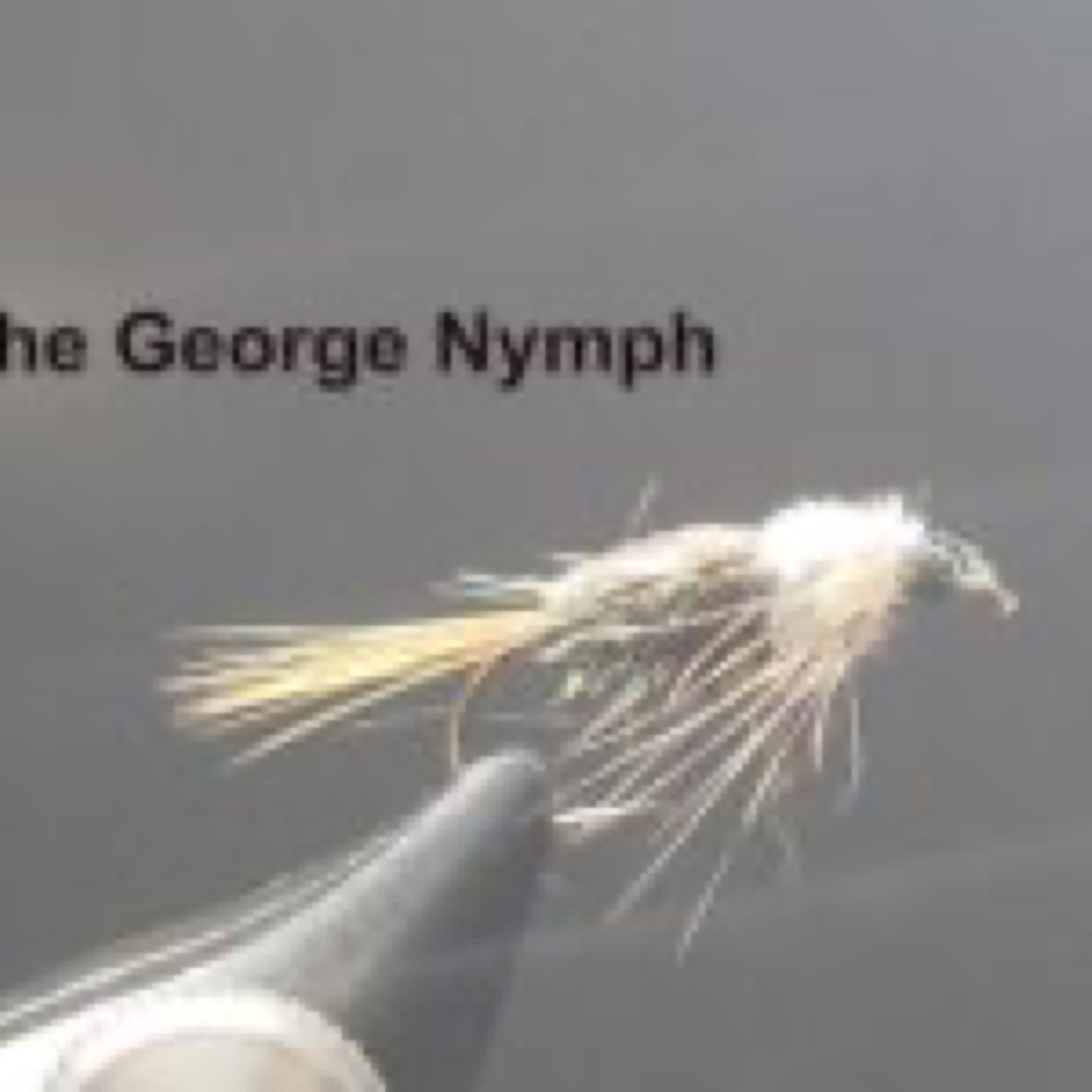George Nymph fly pattern tied by Darrell Olson
