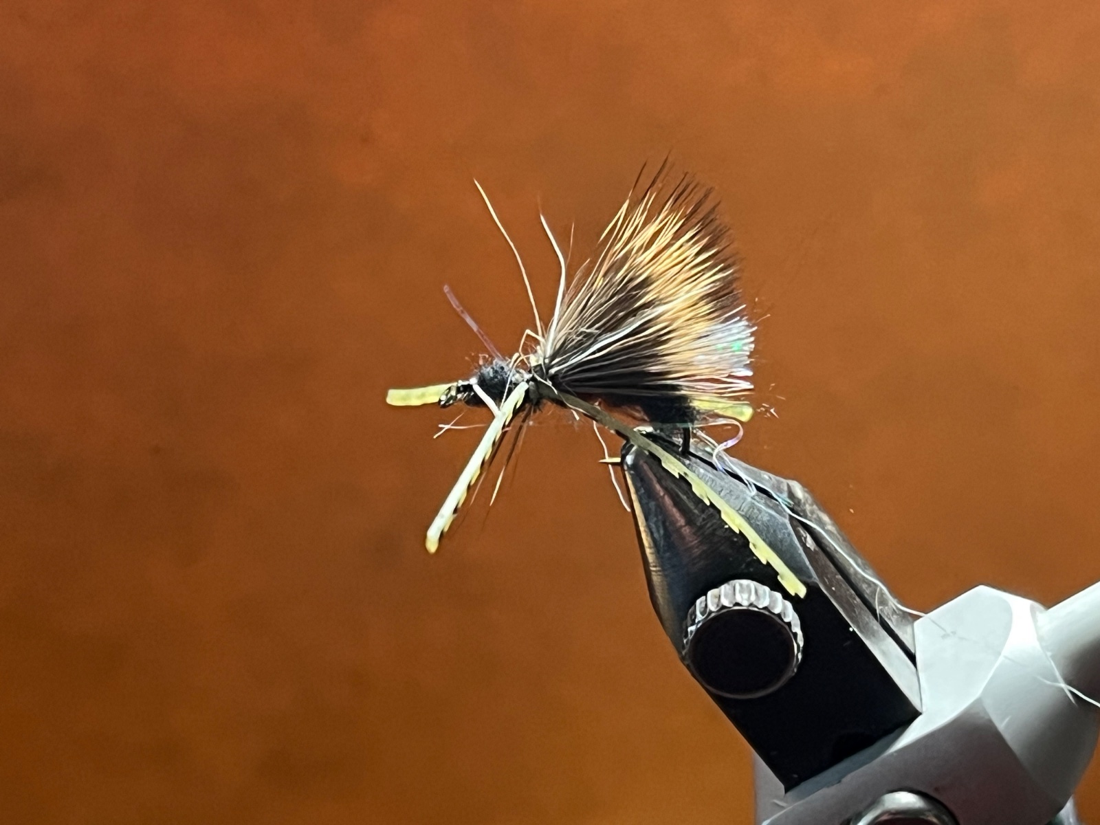 Gallup’ Acid Ant fly pattern tied by Michael Terry