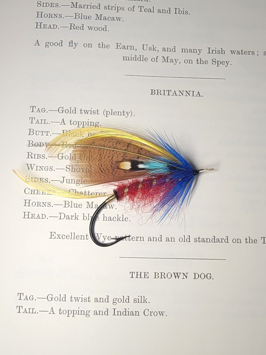 Britannia fly pattern tied by Rich LaMonte