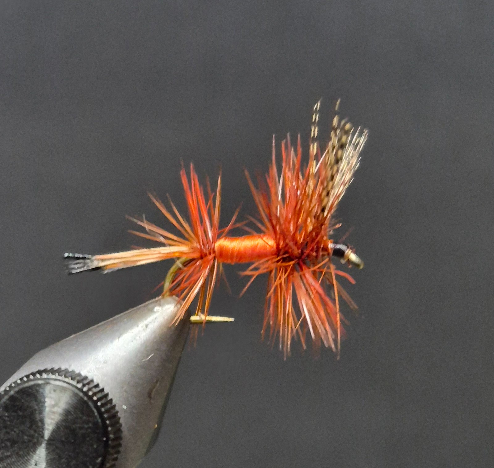 The Smith Fly fly pattern tied by David Matthews