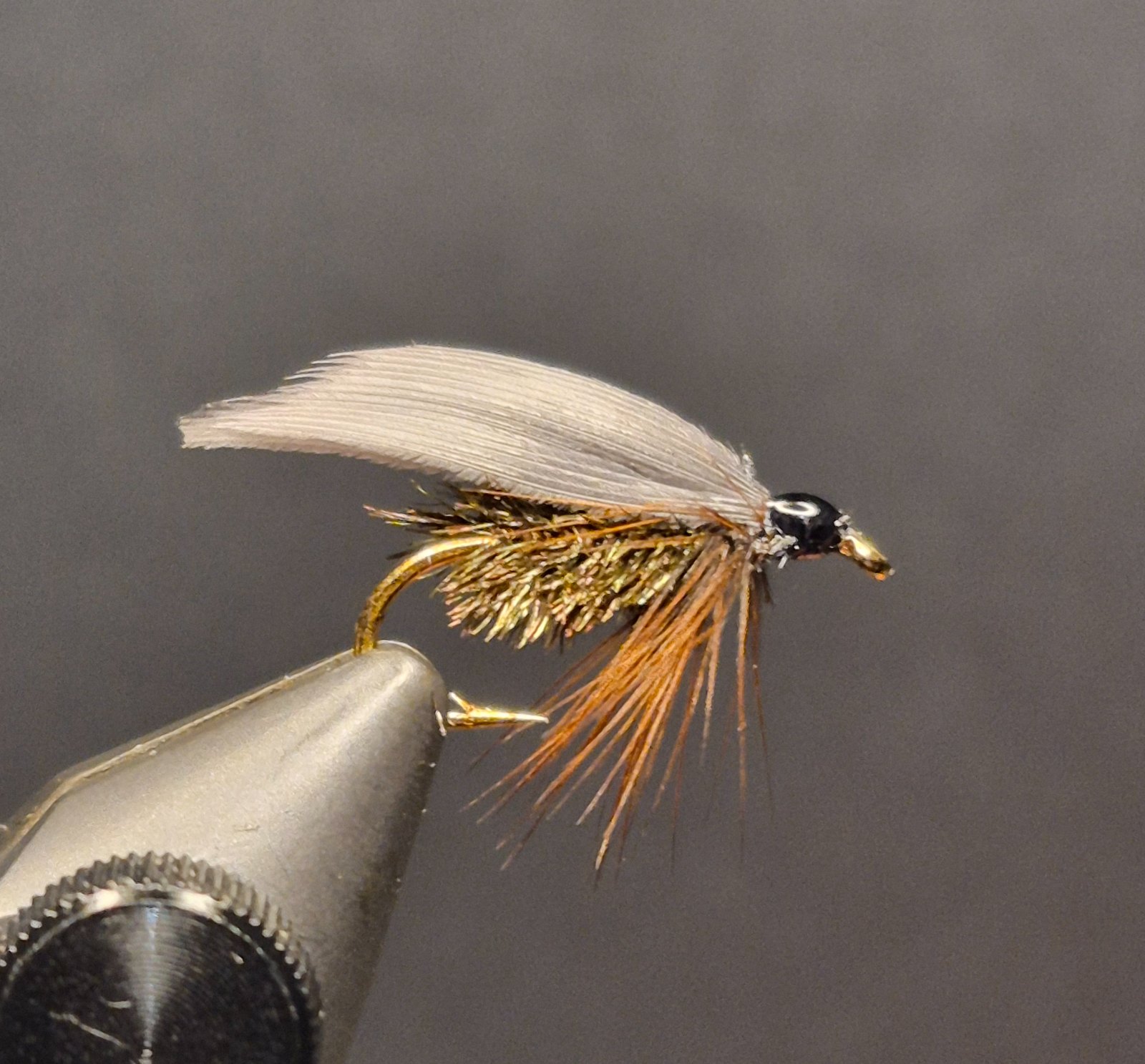 Lead wing coachman fly pattern tied by David Matthews