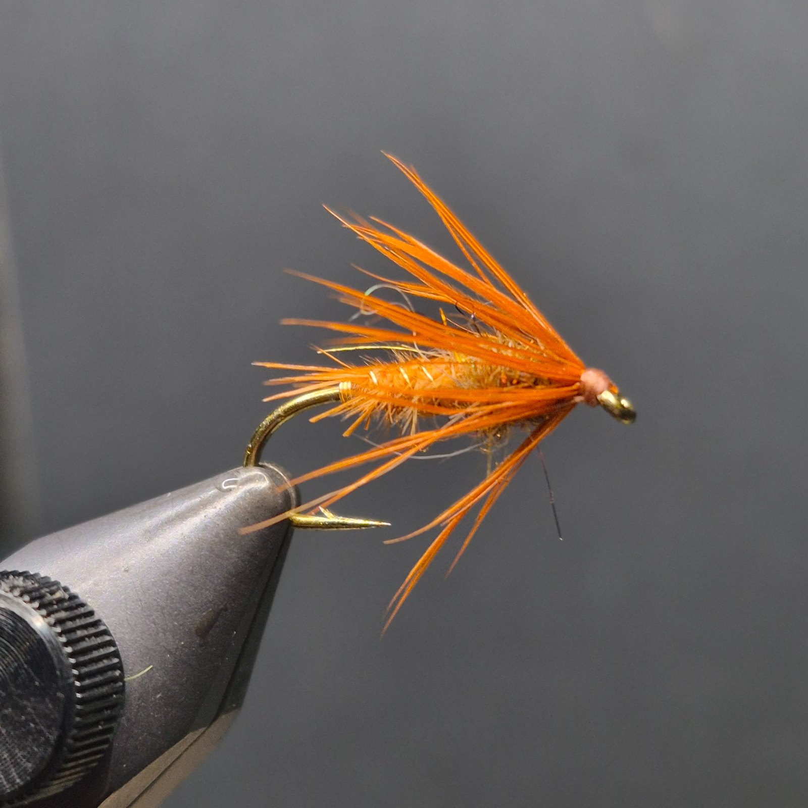 October Caddis Soft Hackle fly pattern tied by David Matthews