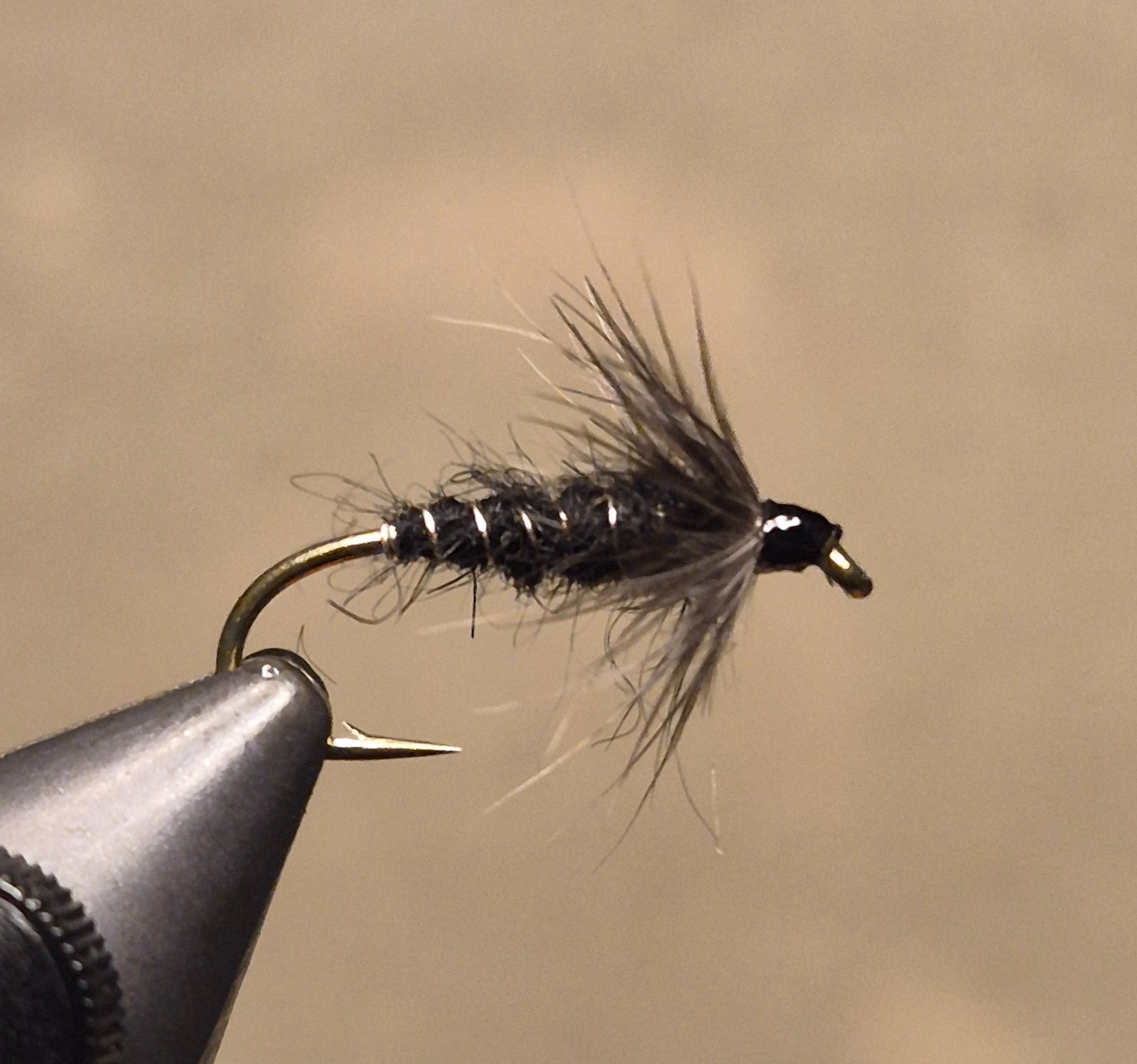 Smoky Mountain Blackbird fly pattern tied by David Matthews