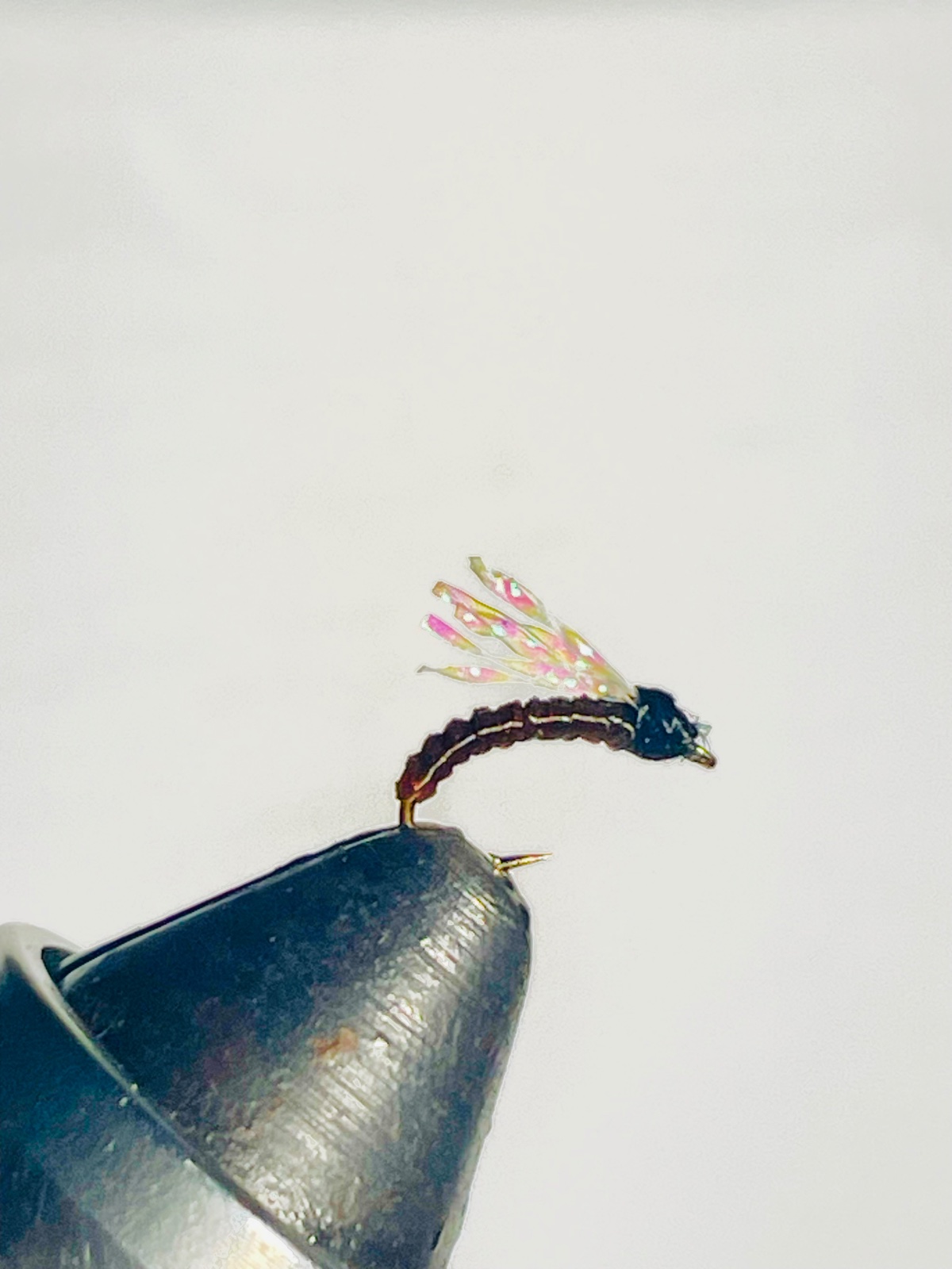 Tailwater Assassin fly pattern tied by Brent Jones