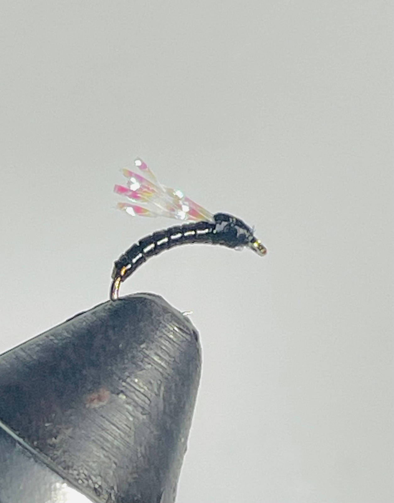 Tailwater Assassin fly pattern tied by Brent Jones